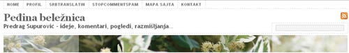 pedjina beleznica blog