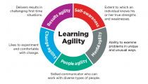 LearningAgilityGraphic