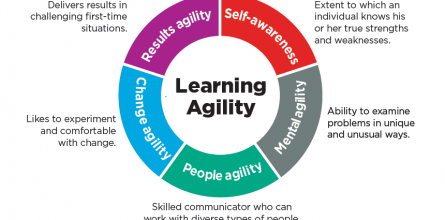 LearningAgilityGraphic