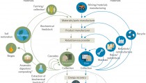 nclimate-nature-cicrular-economy