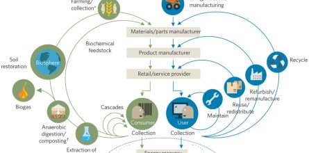 nclimate-nature-cicrular-economy